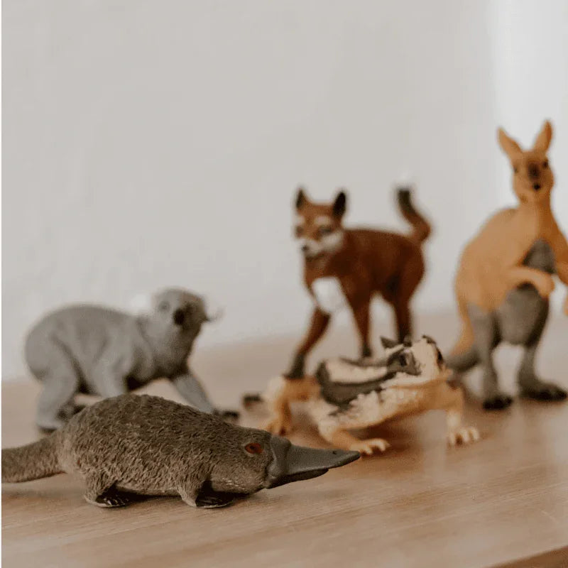 The Curated Parcel - Poly Bag // Australian Animals