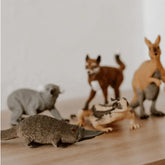 The Curated Parcel - Poly Bag // Australian Animals