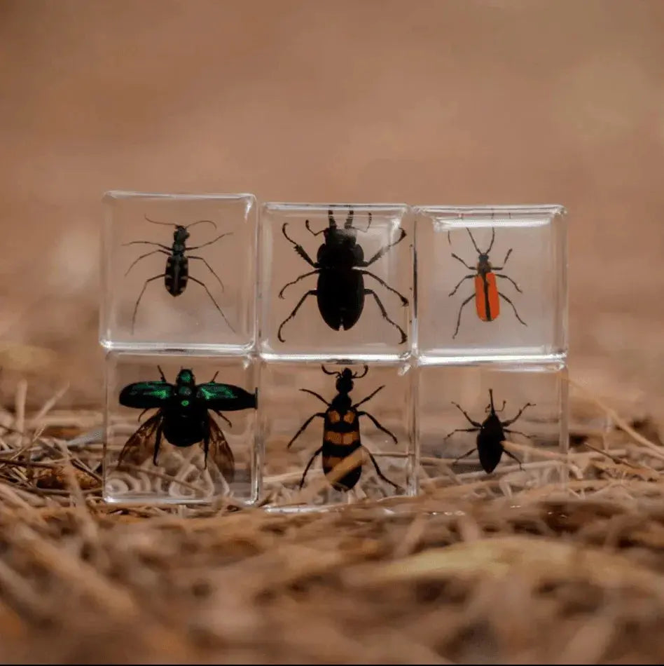 The Curated Parcel - Specimen // Brilliant Bug Set