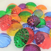 The Curated Parcel - Tactile Transparent Shells