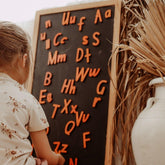 The Curated Parcel - The Alphabet MAGNETIC Collection