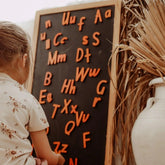 The Curated Parcel - The Alphabet MAGNETIC Collection