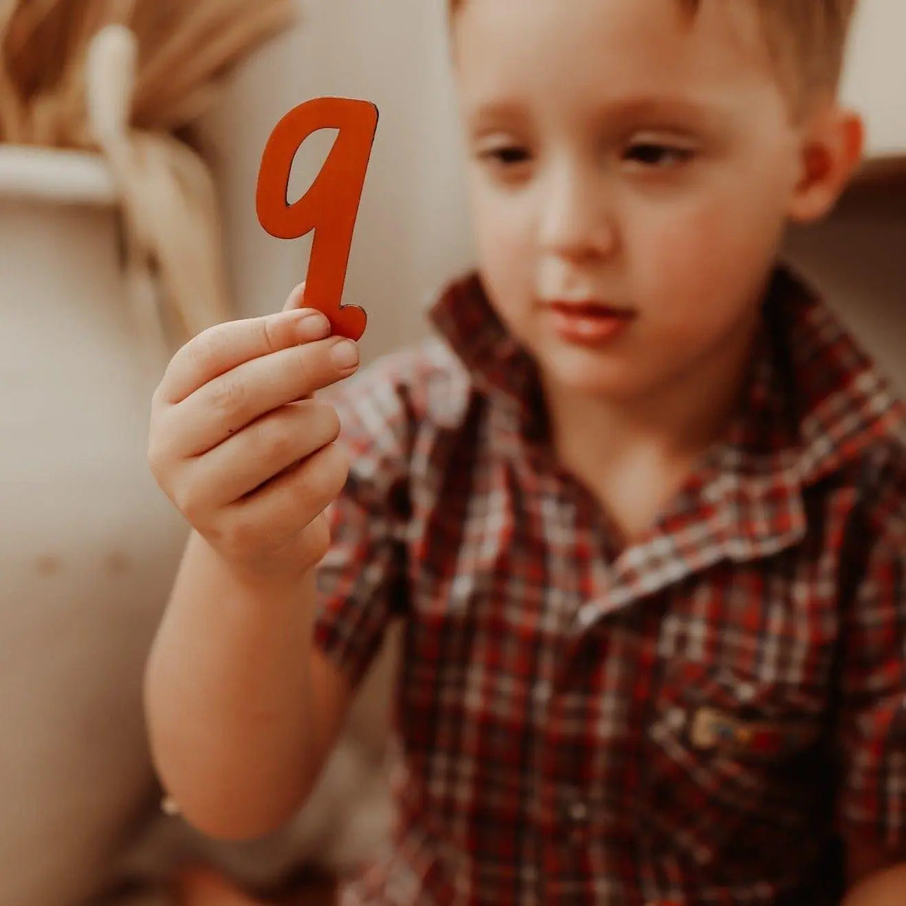The Curated Parcel - The Alphabet MAGNETIC Collection