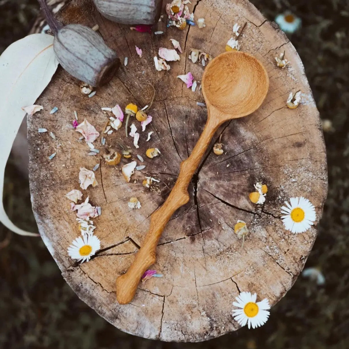 The Curated Parcel - Wild Tree Tools // Branch Spoons ⓒ