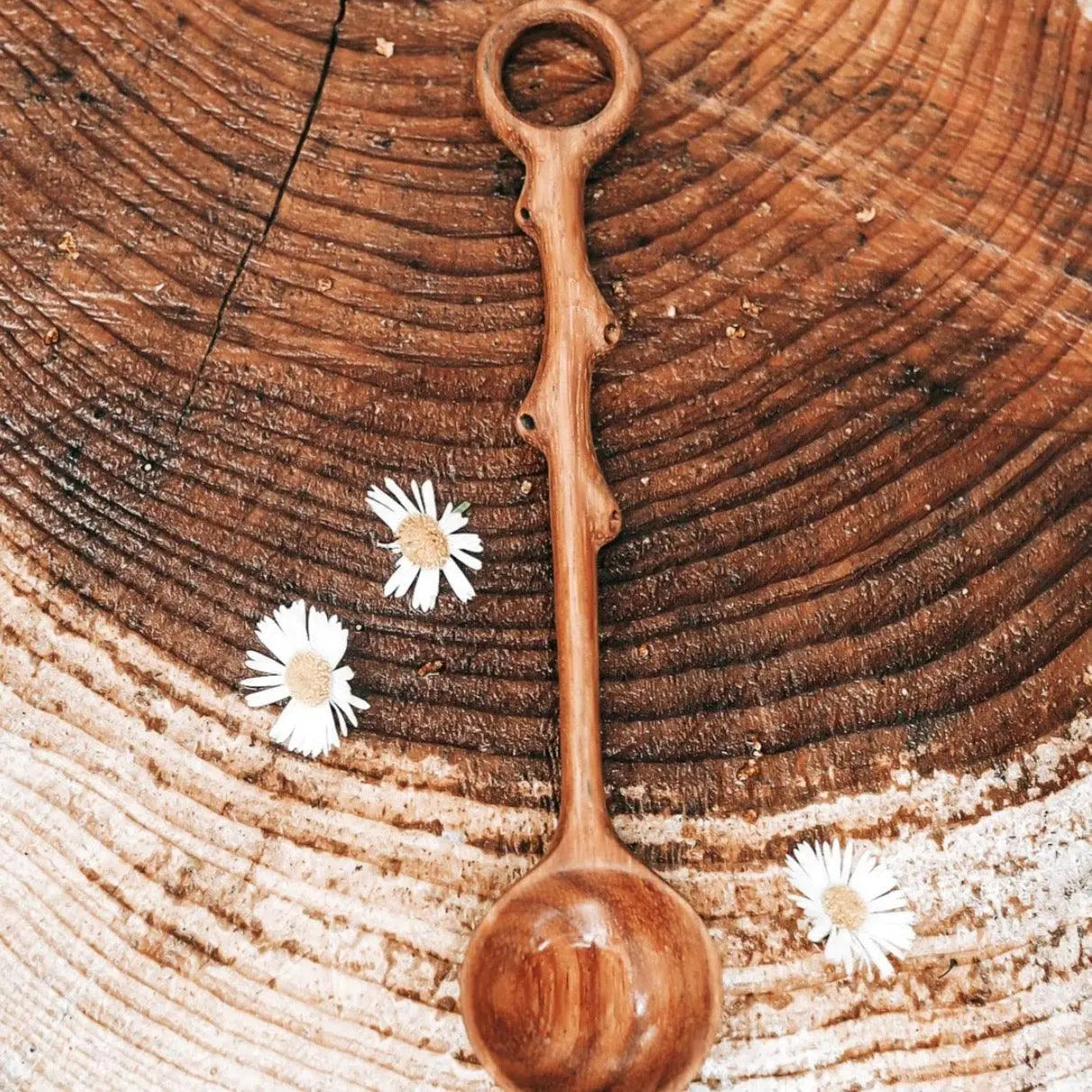 The Curated Parcel - Wild Tree Tools // Bubble & Scoop Spoon ⓒ