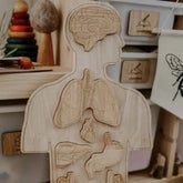The Curated Parcel - Wooden Anatomy Puzzle