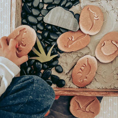 The Curated Parcel - Yellow Door // Let's Investigate - Dinosaur Footprints