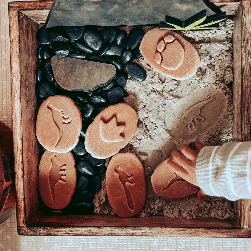 The Curated Parcel - Yellow Door // Let's Investigate - Dinosaur Footprints