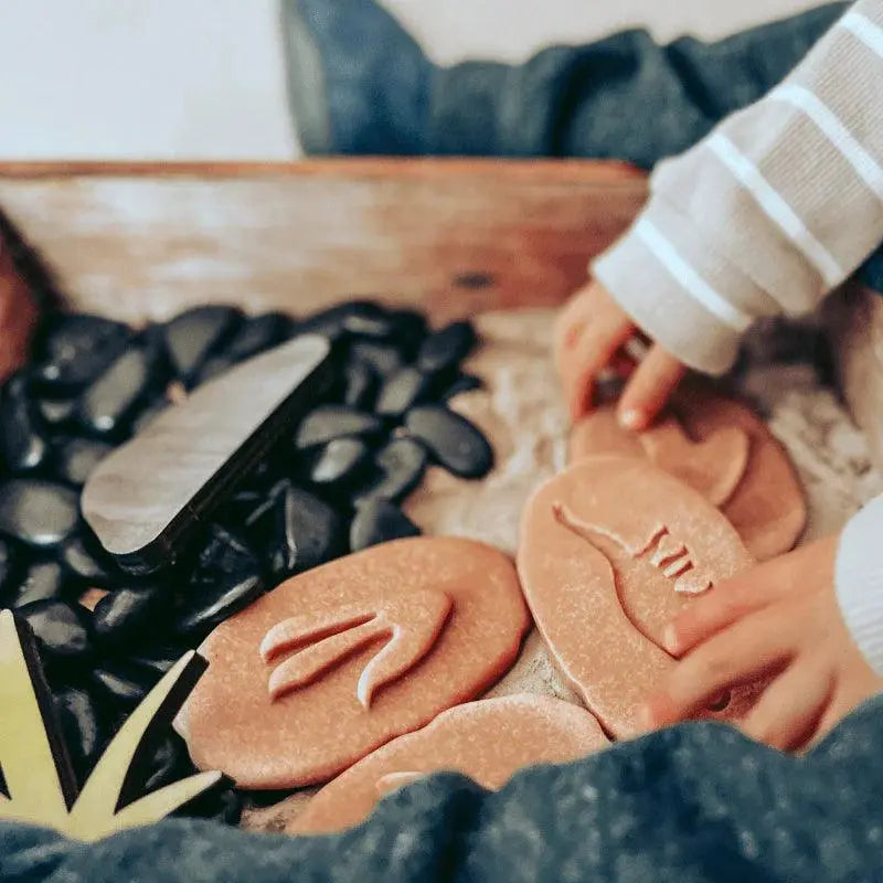 The Curated Parcel - Yellow Door // Let's Investigate - Dinosaur Footprints