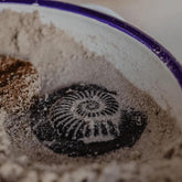 The Curated Parcel - Yellow Door // Let's Investigate - Fossils