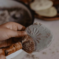 The Curated Parcel - Yellow Door // Let's Investigate - Fossils