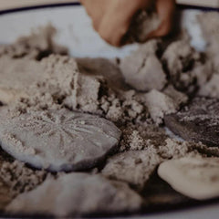 The Curated Parcel - Yellow Door // Let's Investigate - Fossils