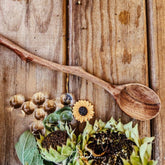 Wild Tree Collection // Twig Spoons ⓒ