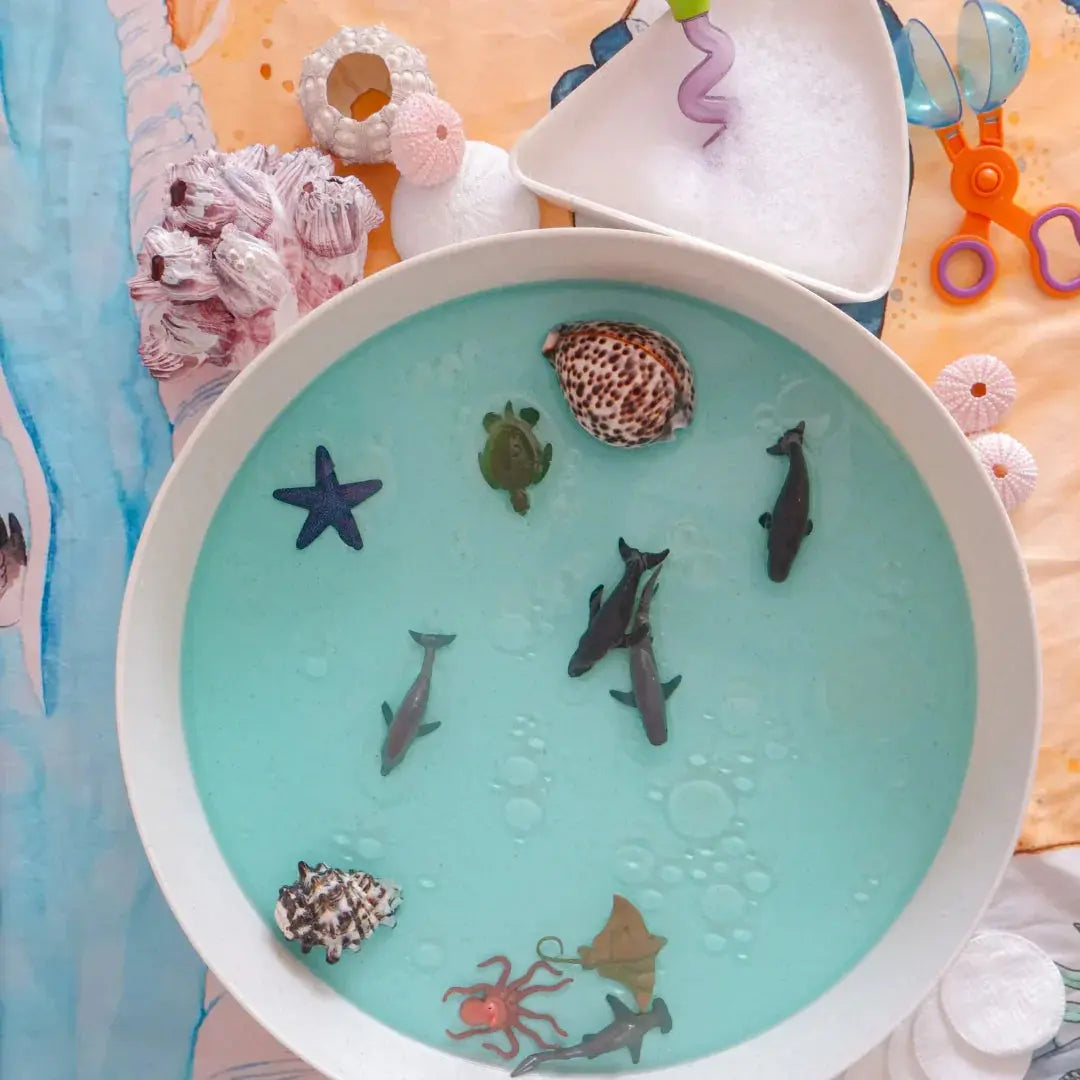 🌊 Celebrate World Ocean’s Day: Play with Purpose, Protect with Heart