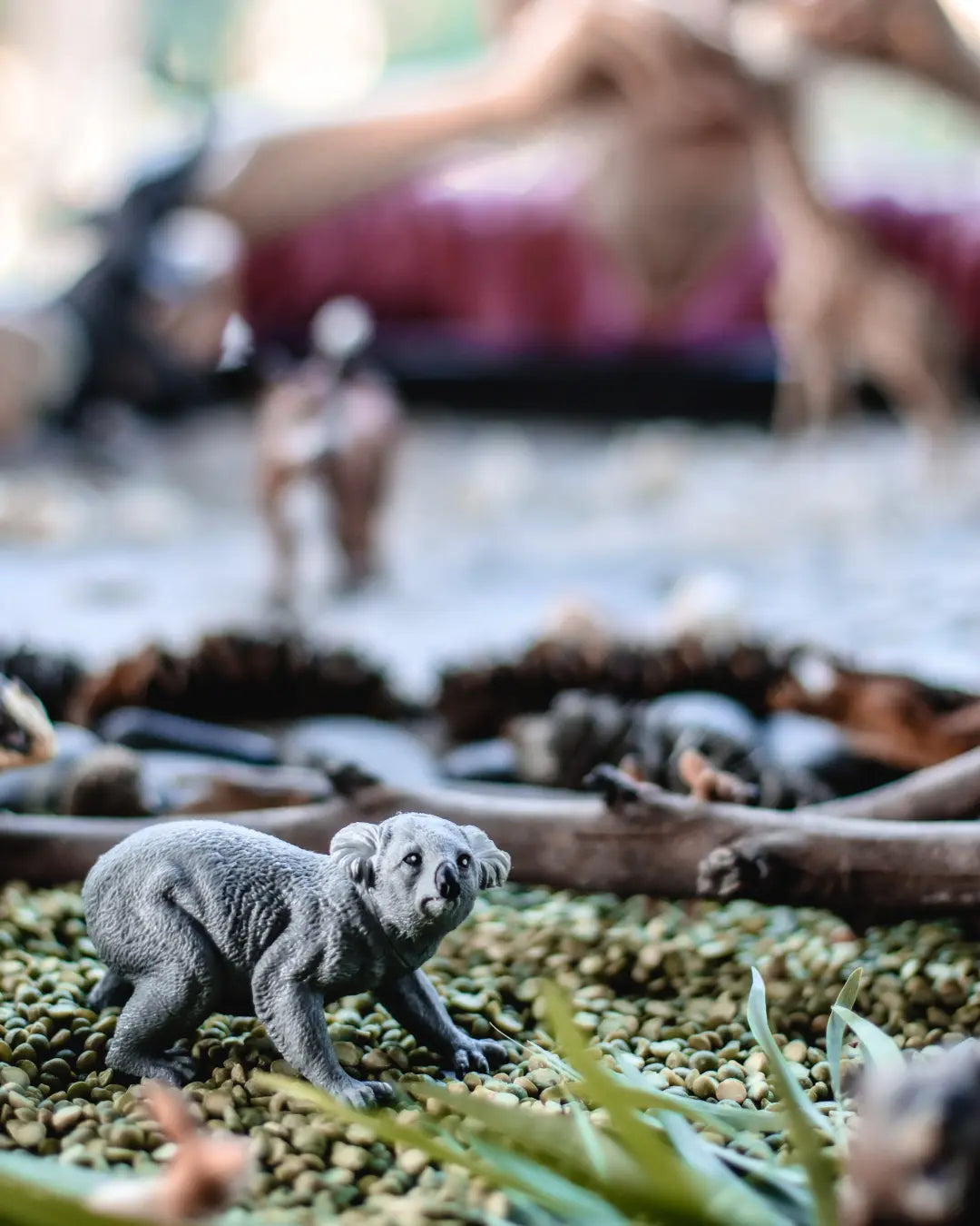 Celebrate Wild Koala Day Through Nature Play!