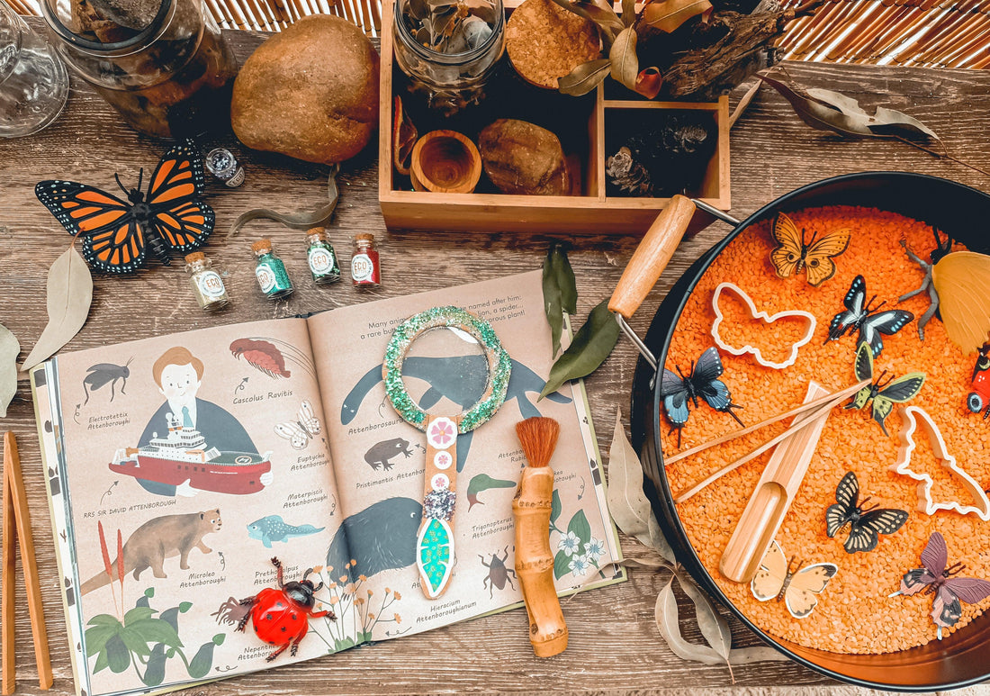  The Curated Parcel - Learning Through Imaginative Play by Emily Janssen @pretty.little.wren