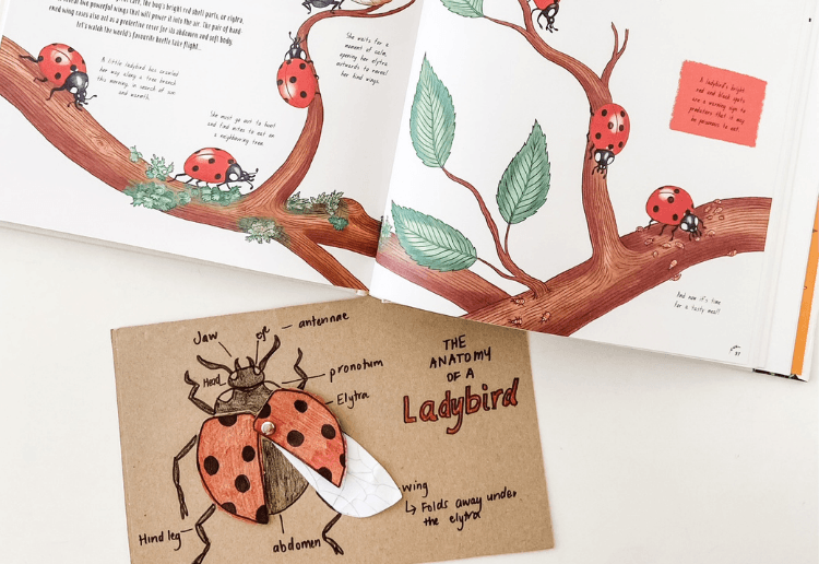  The Curated Parcel - Nature-Inspired Play By Beck from @learning_in_colour