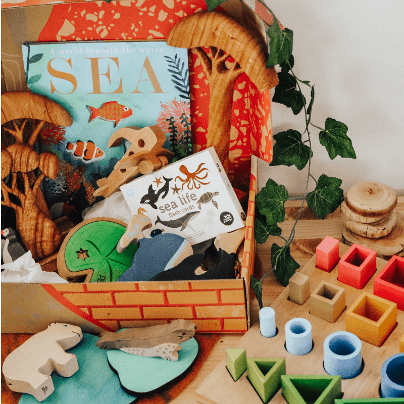 The Curated Parcel - Play & Learn Boxes 