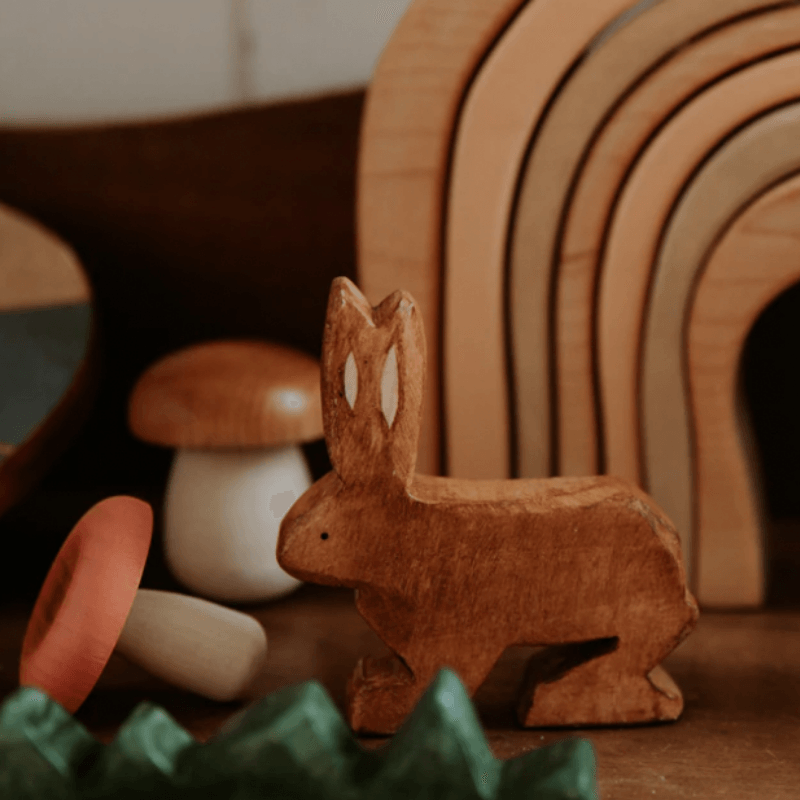 The Curated Parcel - The Woodland Story 