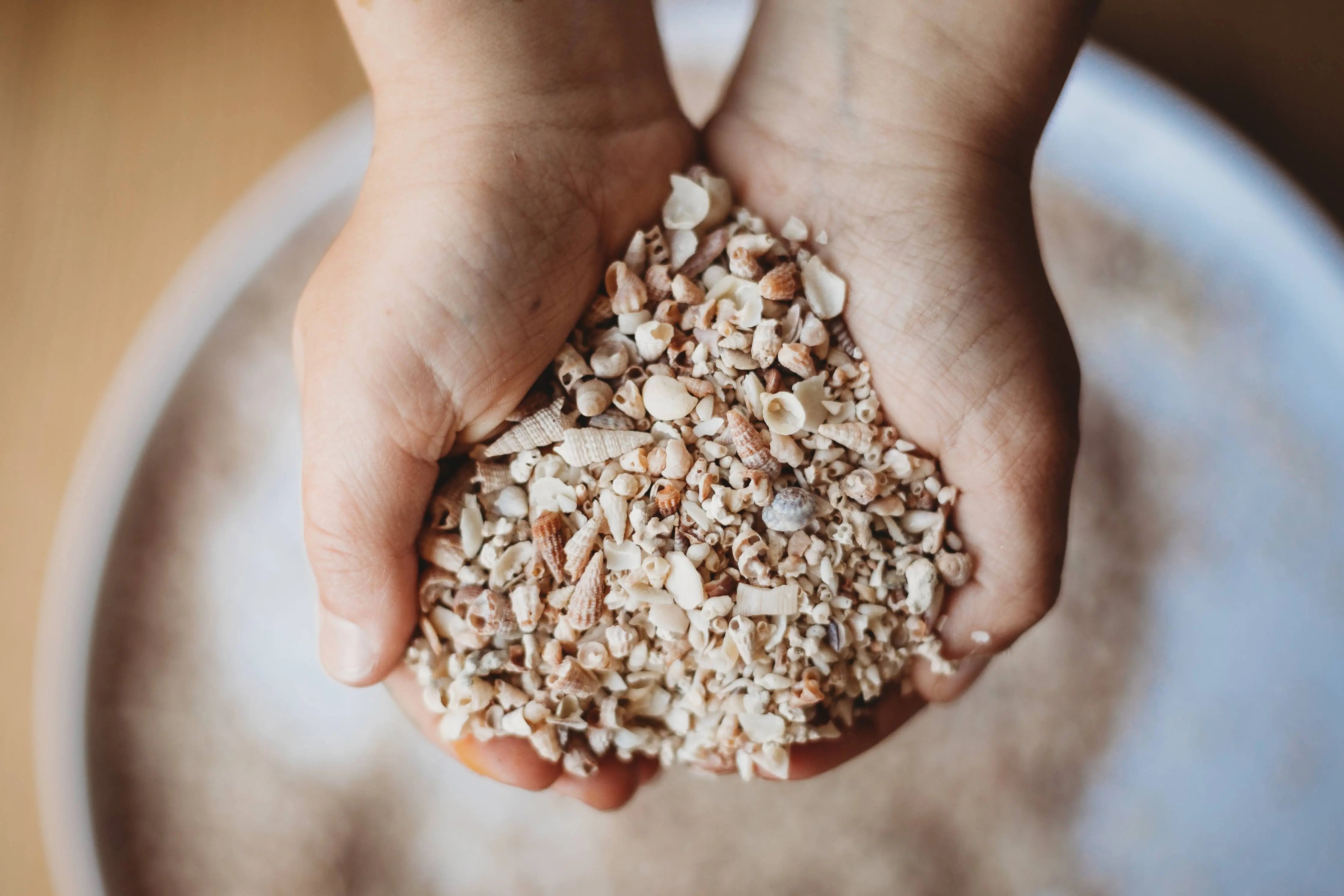 Shell Sand SMALL - Potion Ingredient The Saltwater Collective Potions