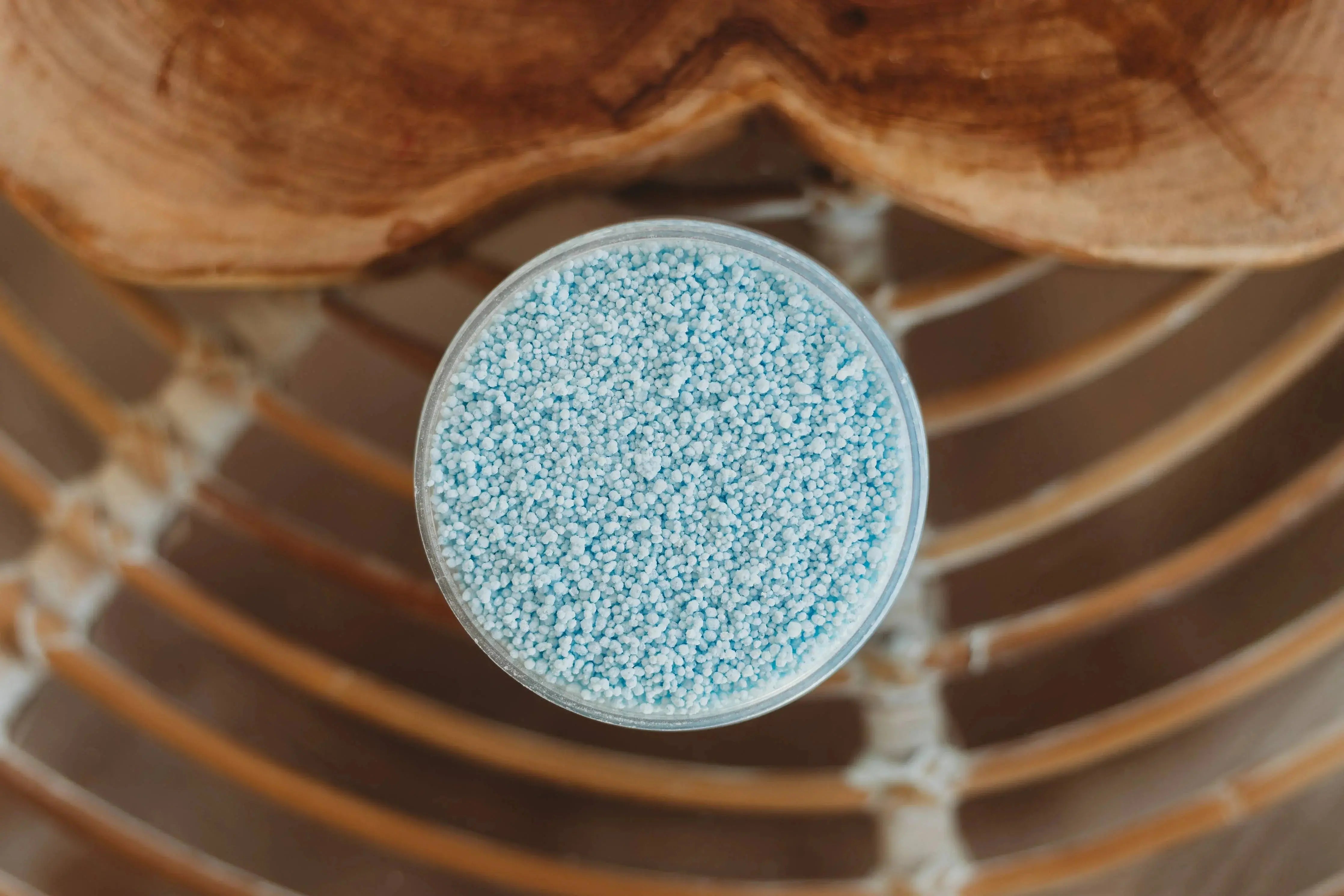 Saltwater // Icy Waters Fizz The Saltwater Collective