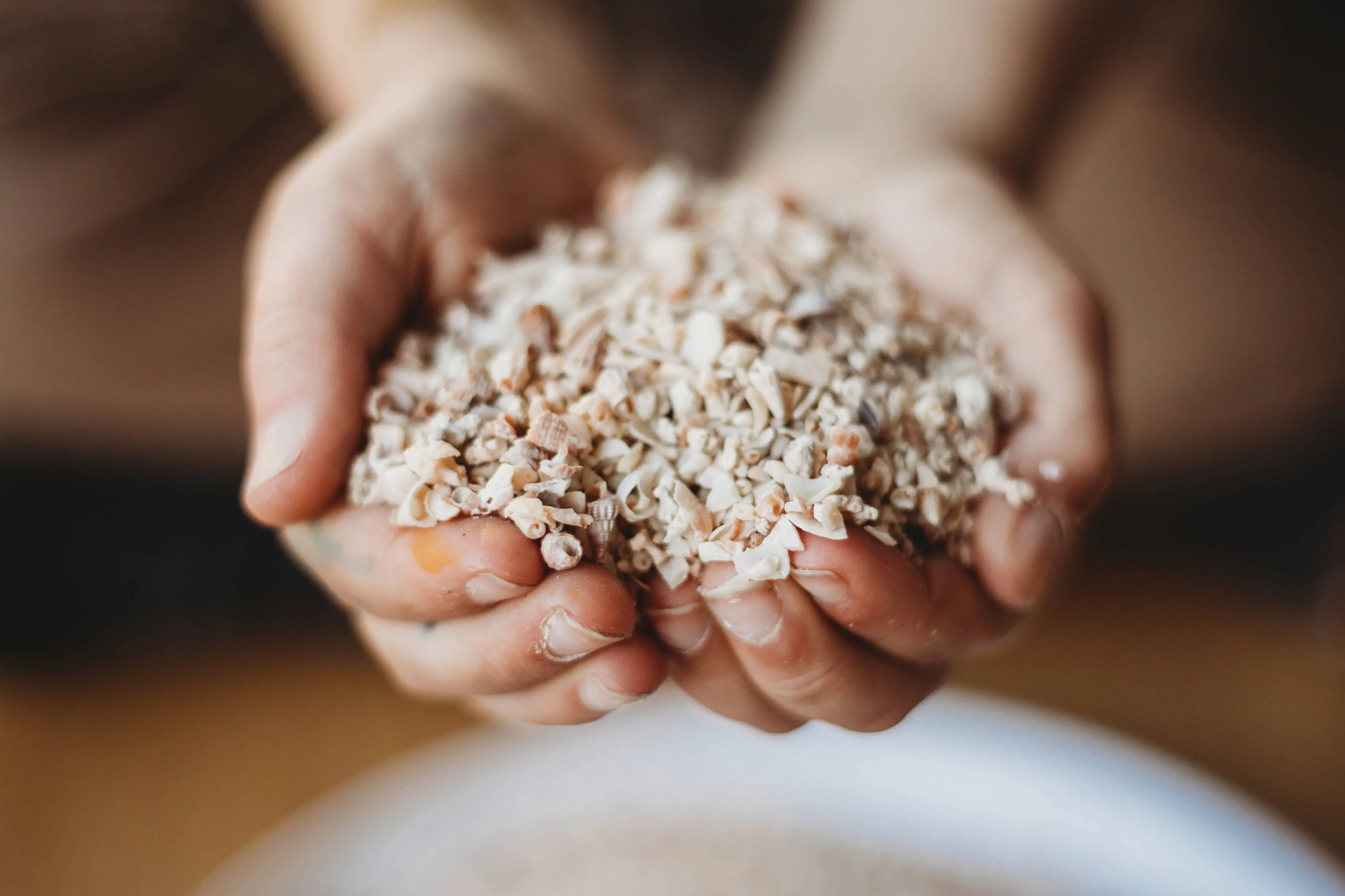 Shell Sand SMALL - Potion Ingredient The Saltwater Collective Potions