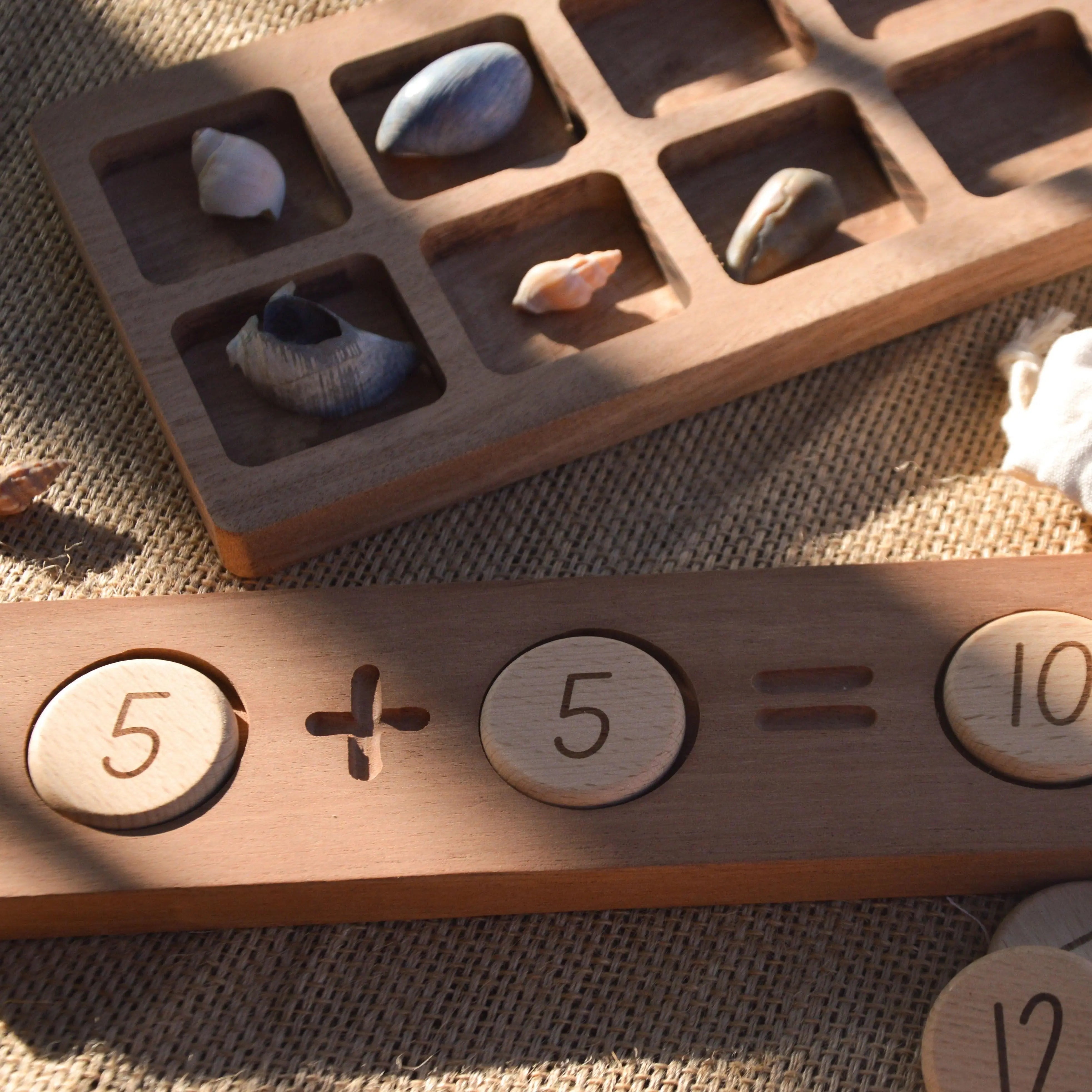 Reversible Counting Tray and Tokens Our Earth Life