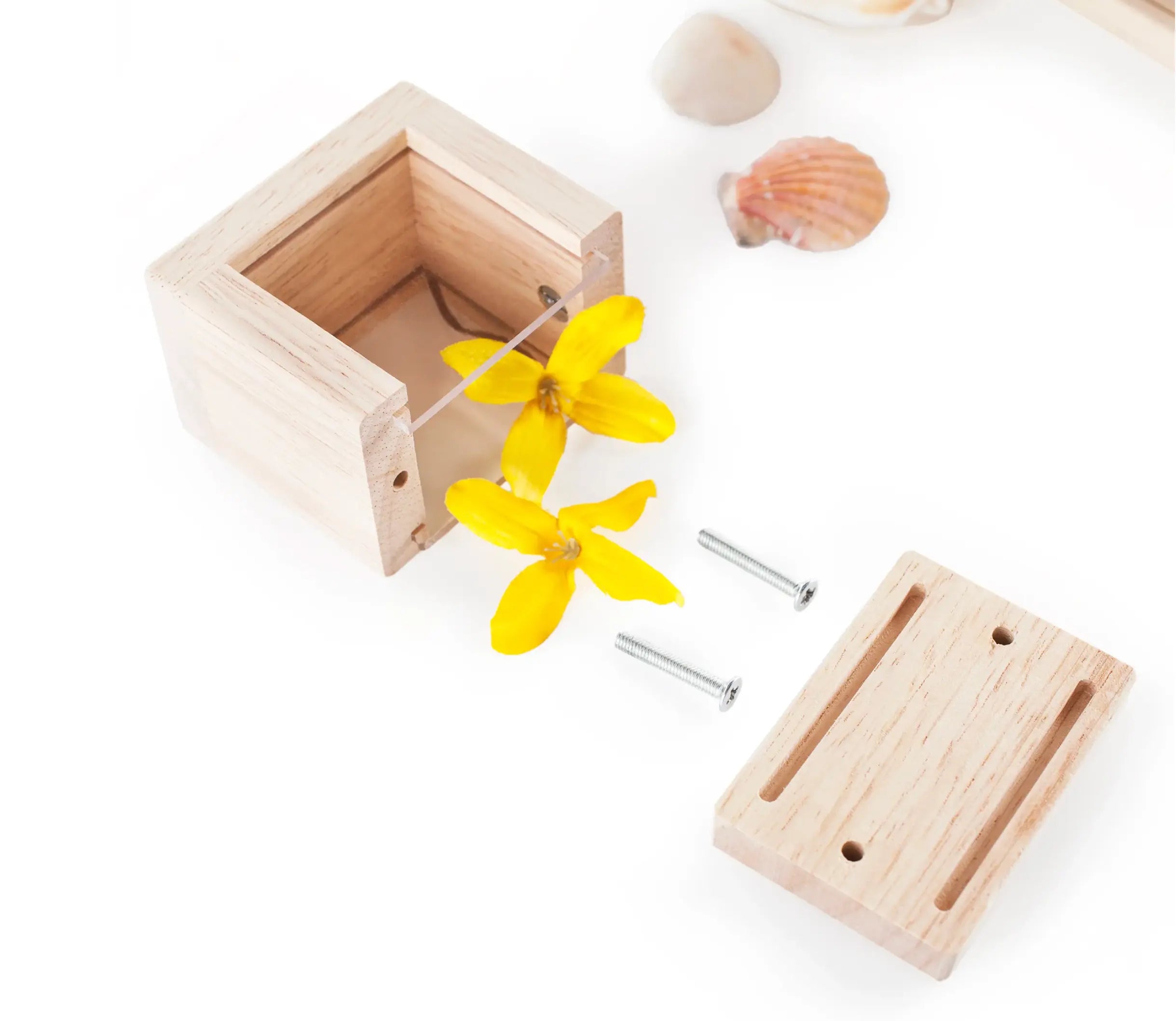 Wooden box with yellow flowers and screws on a white background