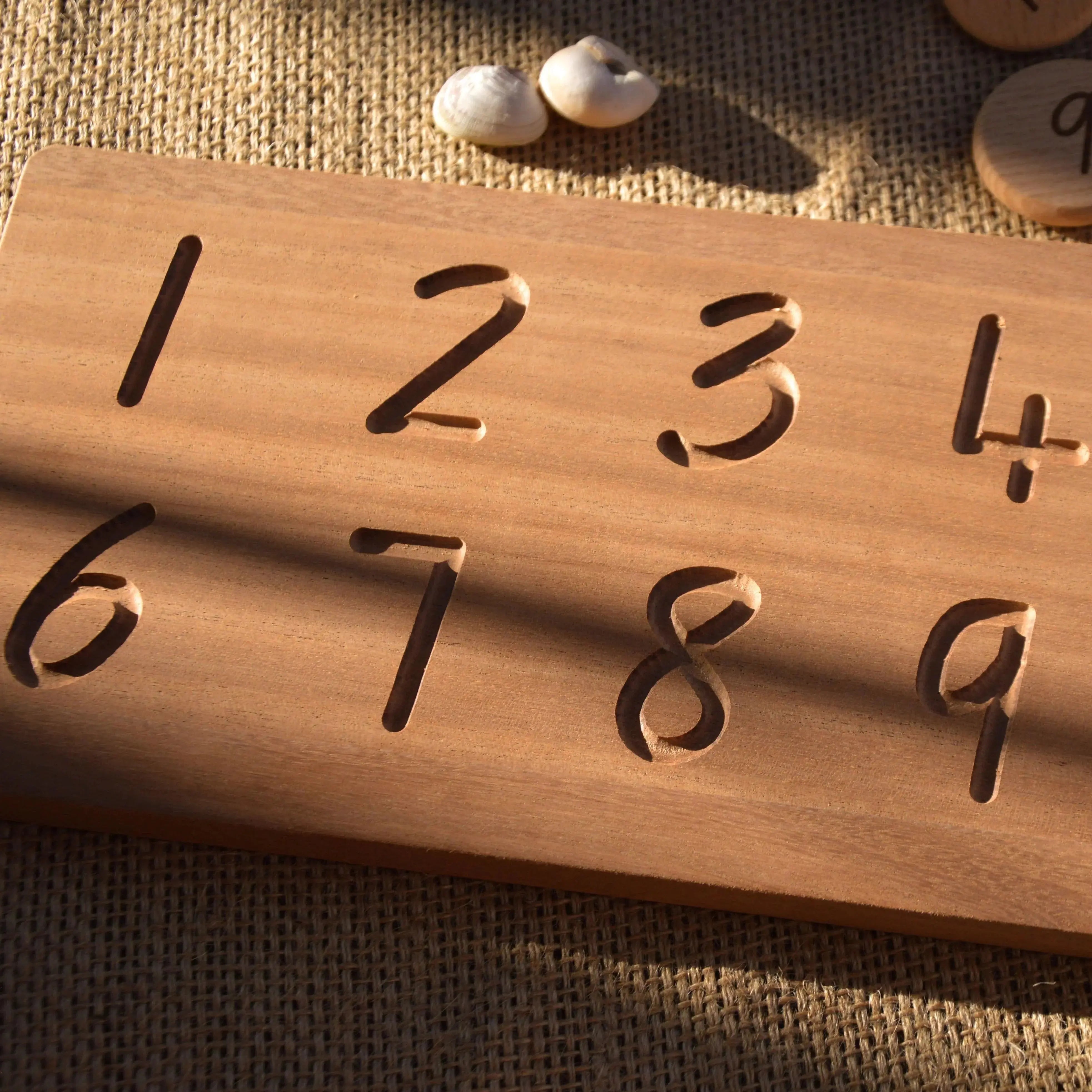 Reversible Alphabet and Number Tracing Board Our Earth Life