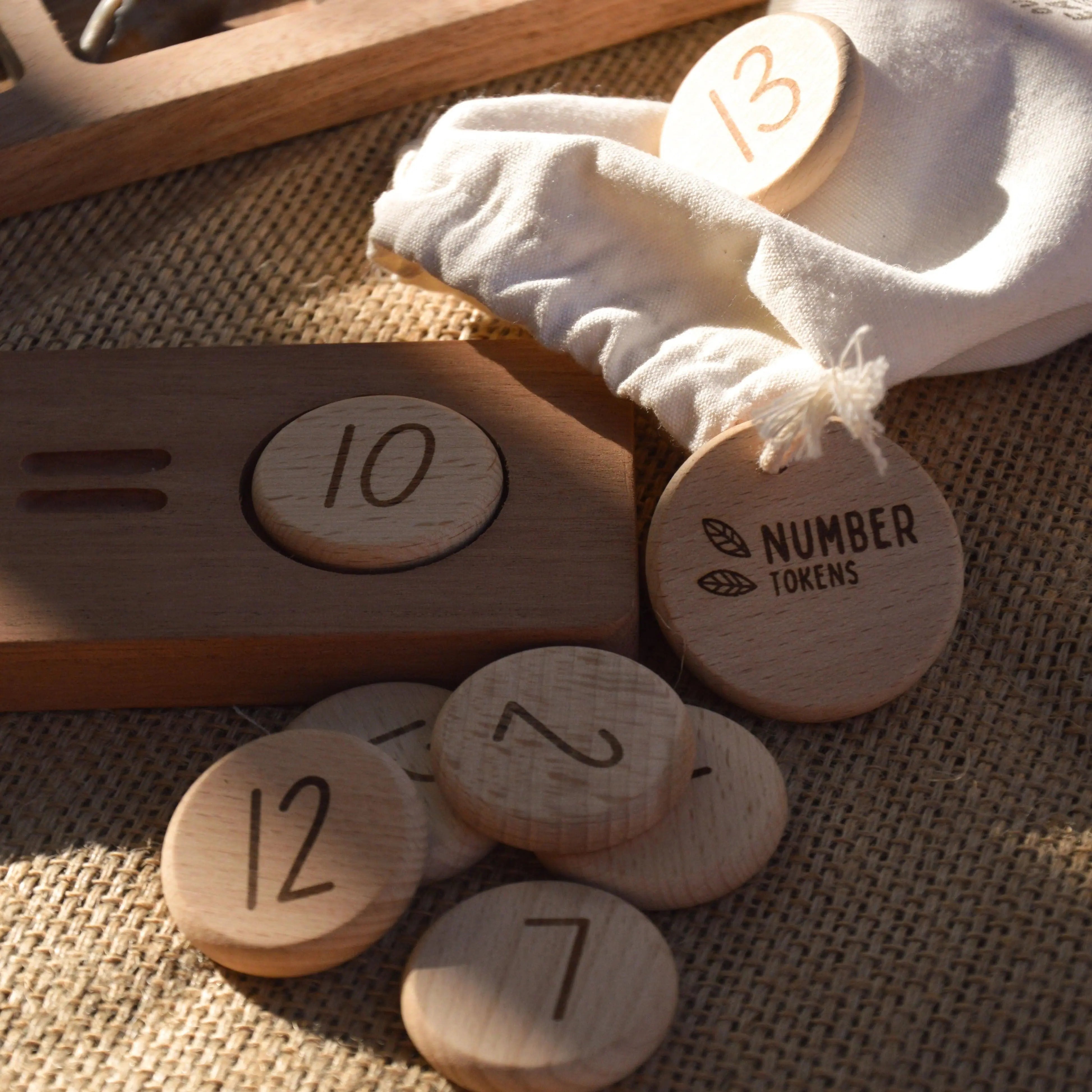 Reversible Counting Tray and Tokens Our Earth Life