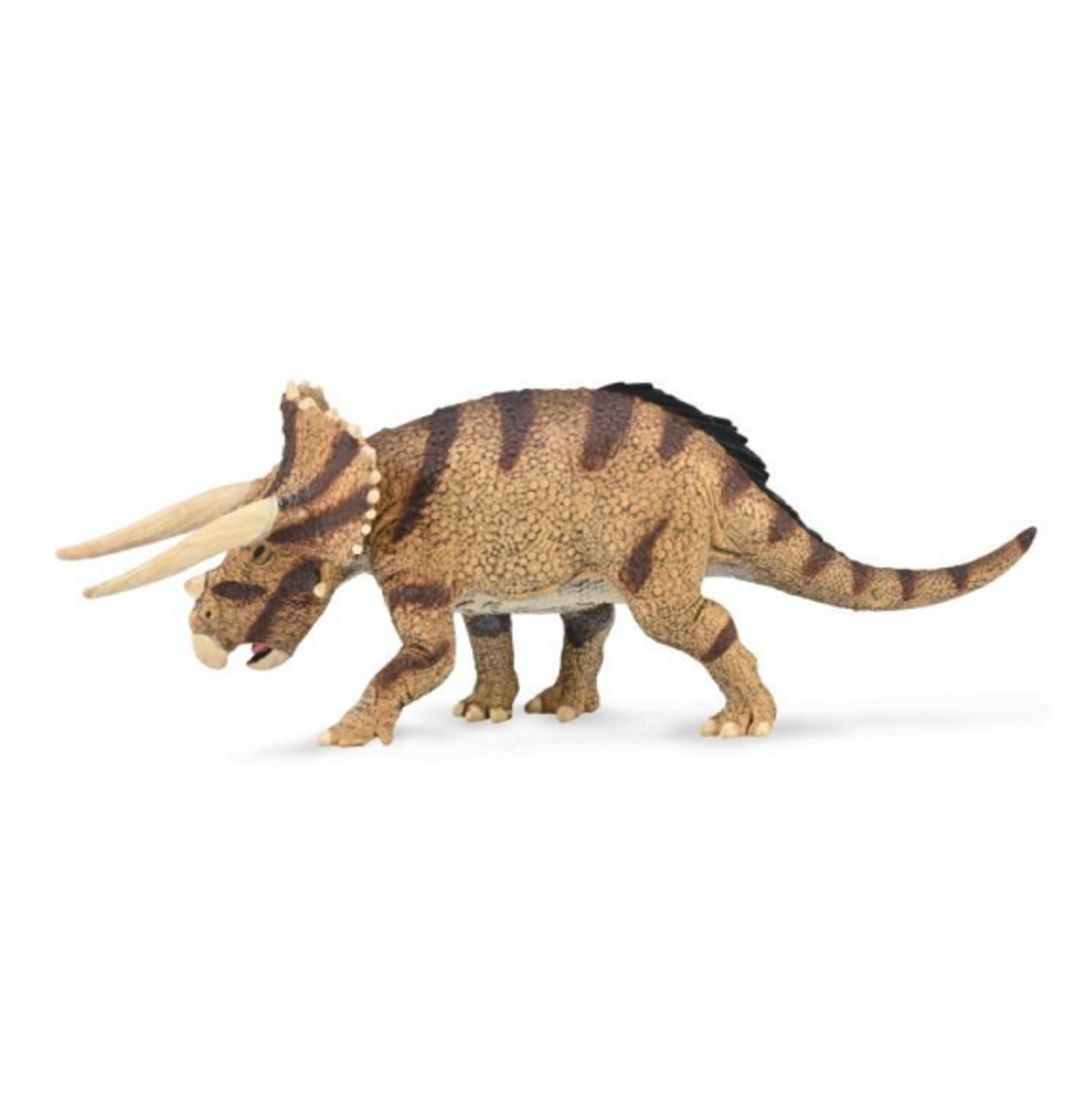 CollectA // Triceratops Horridus- Confronting (L)