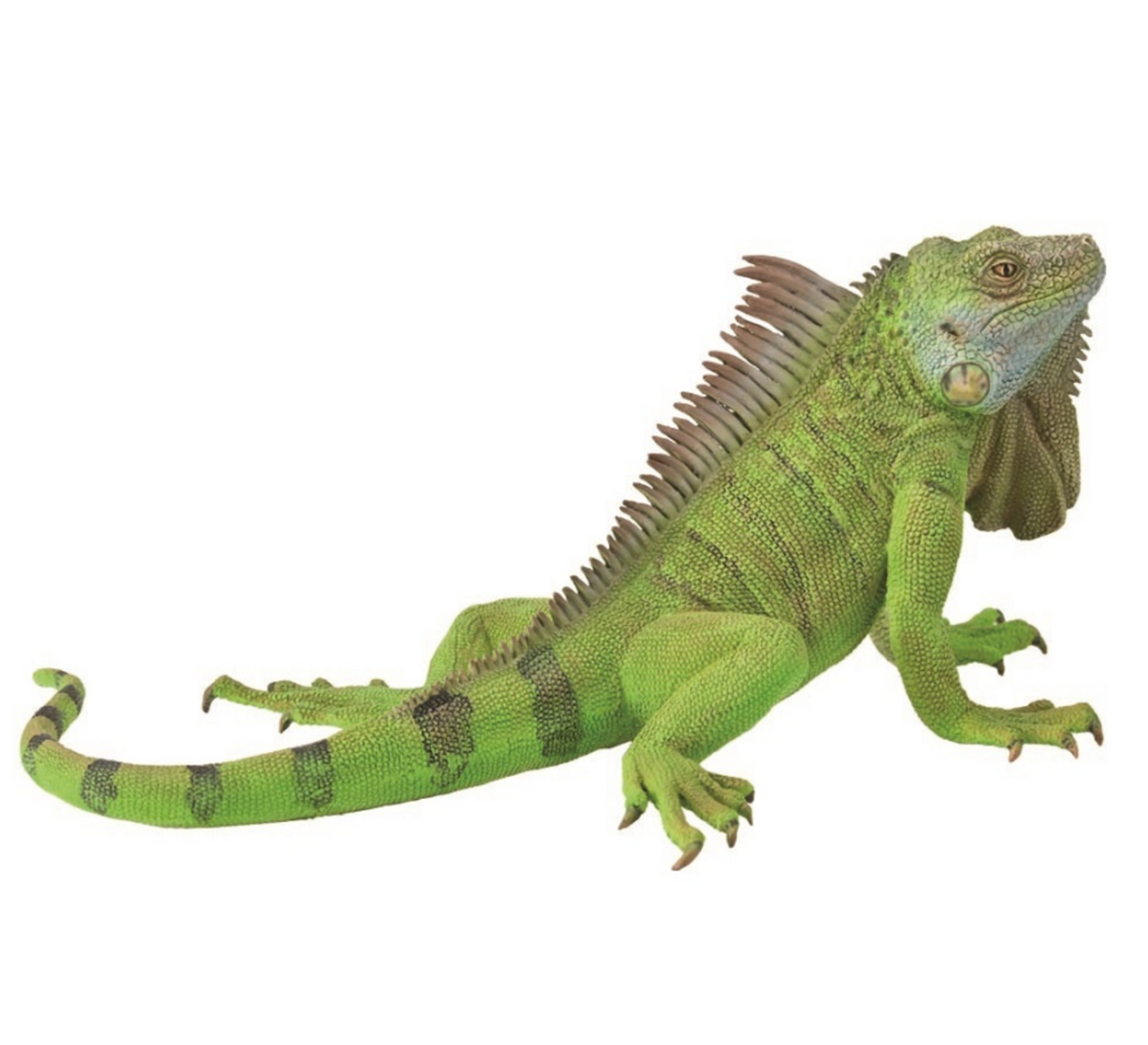 CollectA // Iguana