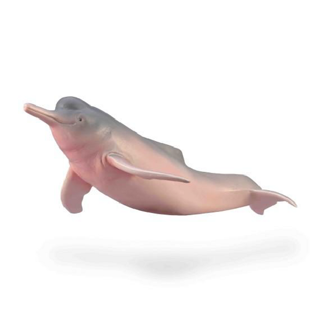 CollectA // Amazon River Dolphin