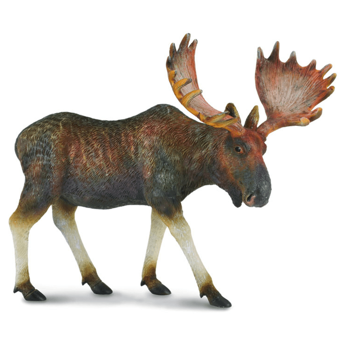 CollectA // Moose