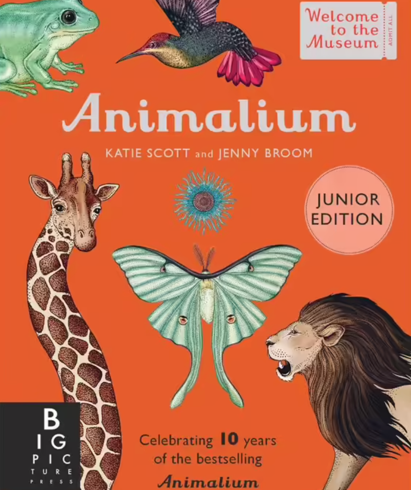 Animalium (Junior Edition)