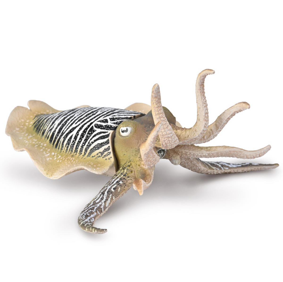 CollectA // Common Cuttlefish