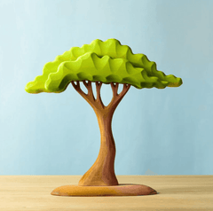 Bumbu // Large Acacia Tree
