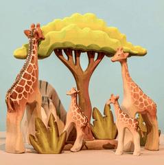 Bumbu // Large Acacia Tree
