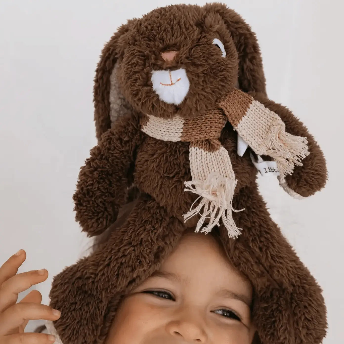 Frankie Rabbit - Medium And the little dog laughed