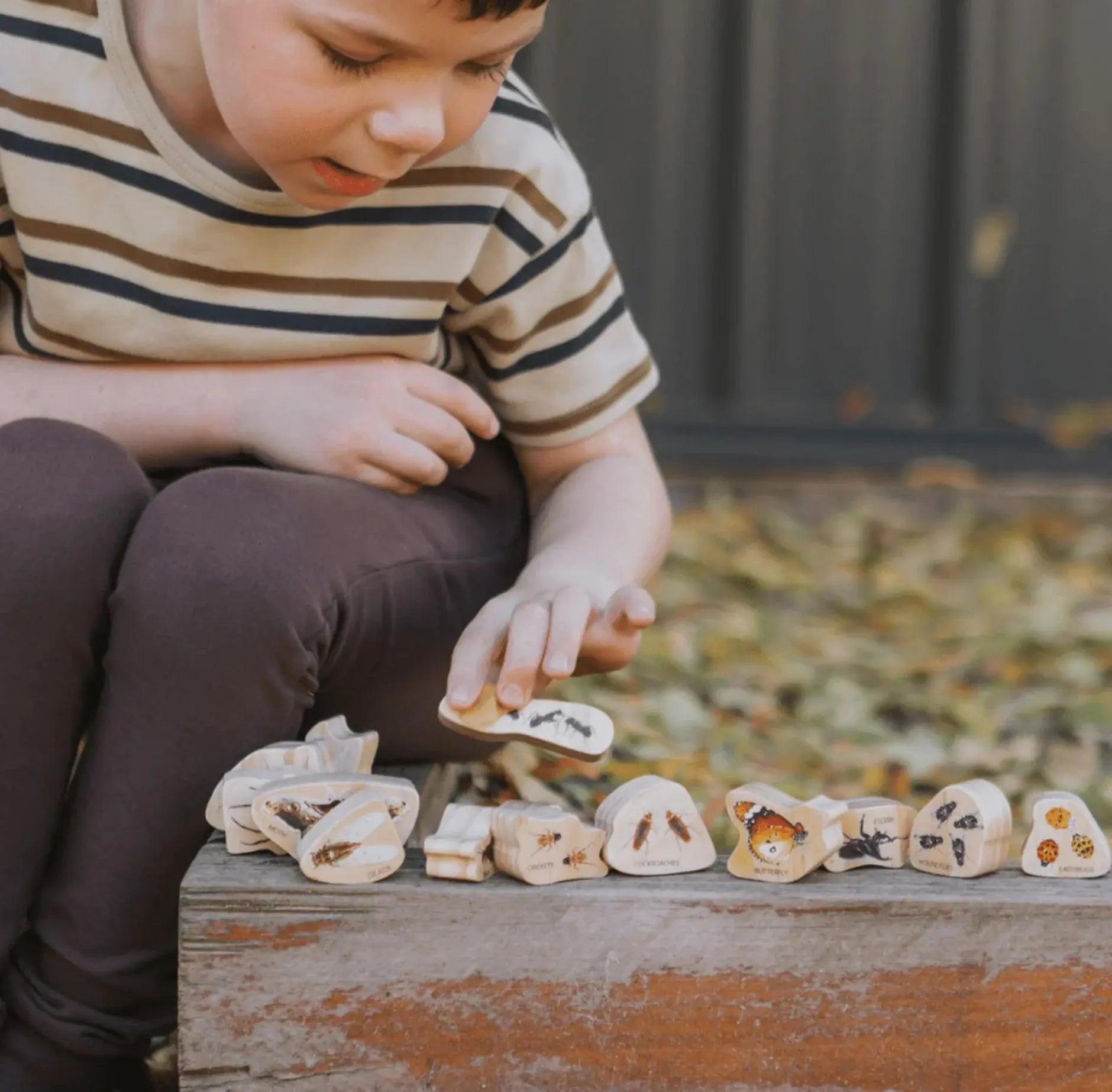 The Freckled Frog // Discovering Minibeasts The Freckled Frog