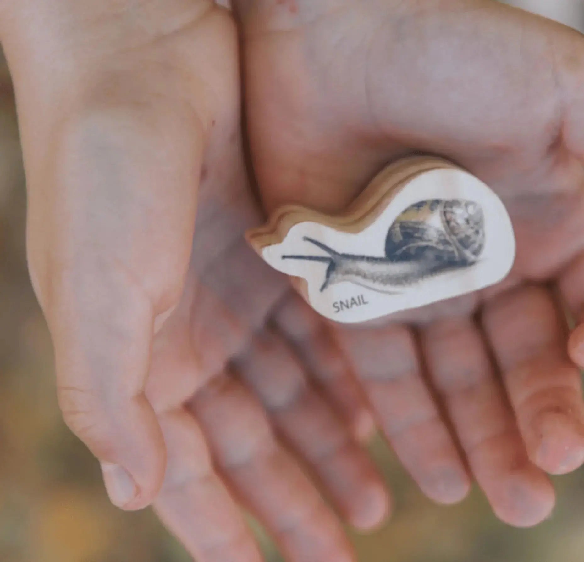 The Freckled Frog // Discovering Minibeasts The Freckled Frog