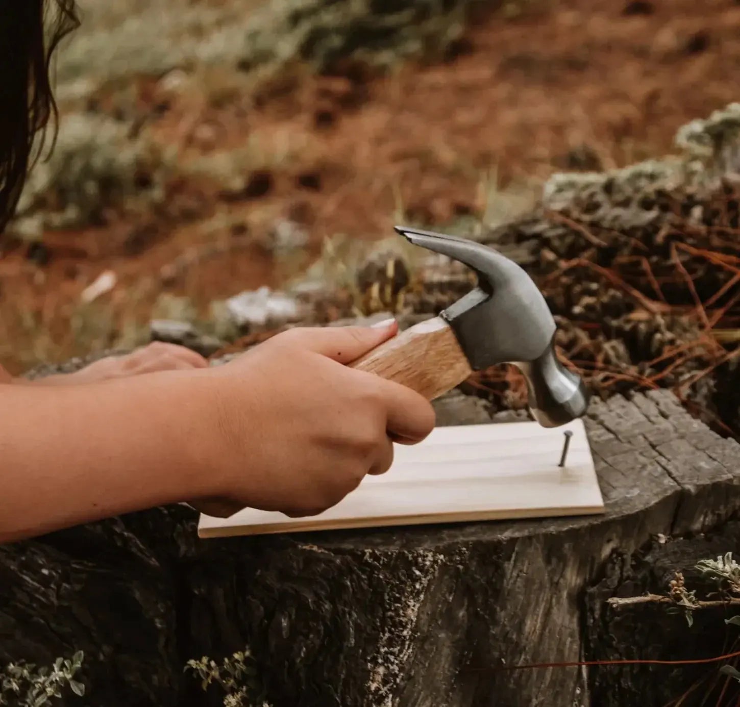 Our Earth Life // Hammer + Nails Our Earth Life
