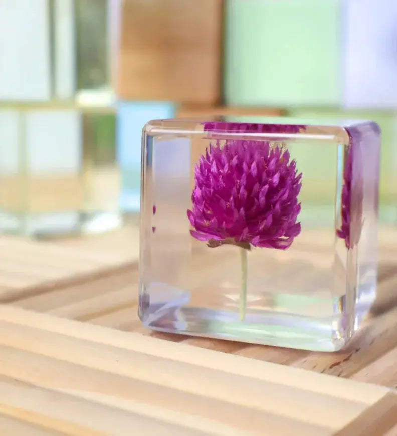 Our Earth Life // Globe Amaranth Specimen Cube Our Earth Life