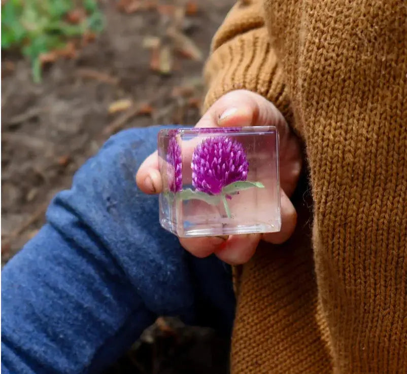 Our Earth Life // Globe Amaranth Specimen Cube Our Earth Life