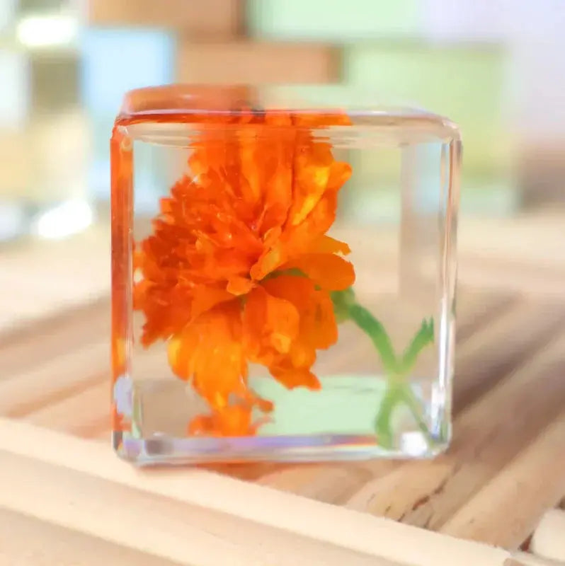 Our Earth Life // Marigold Flower Specimen Cube Our Earth Life
