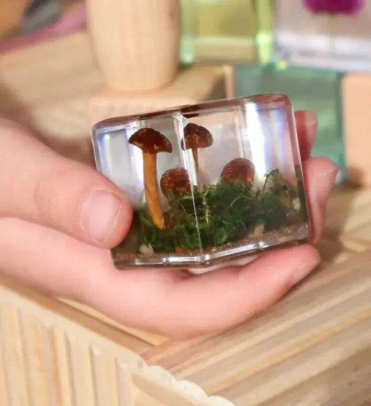 Our Earth Life // Mushroom and Moss Specimen Cube Our Earth Life