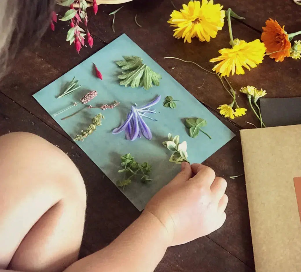 Our Earth Life // Nature Print Kit Our Earth life