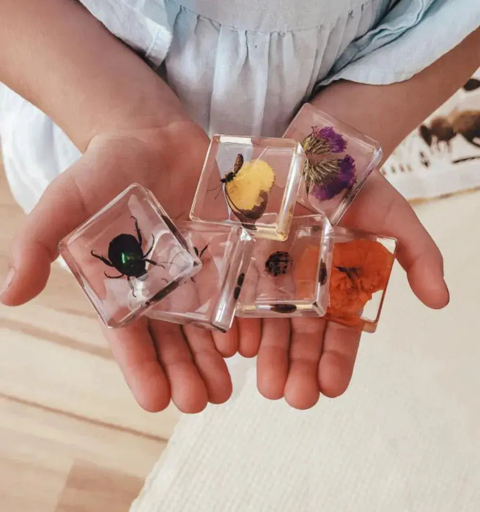 Our Earth Life // Pollinator Pals Specimen Set Our Earth Life