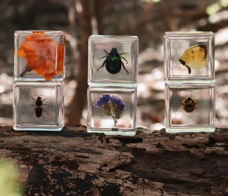 Our Earth Life // Pollinator Pals Specimen Set Our Earth Life