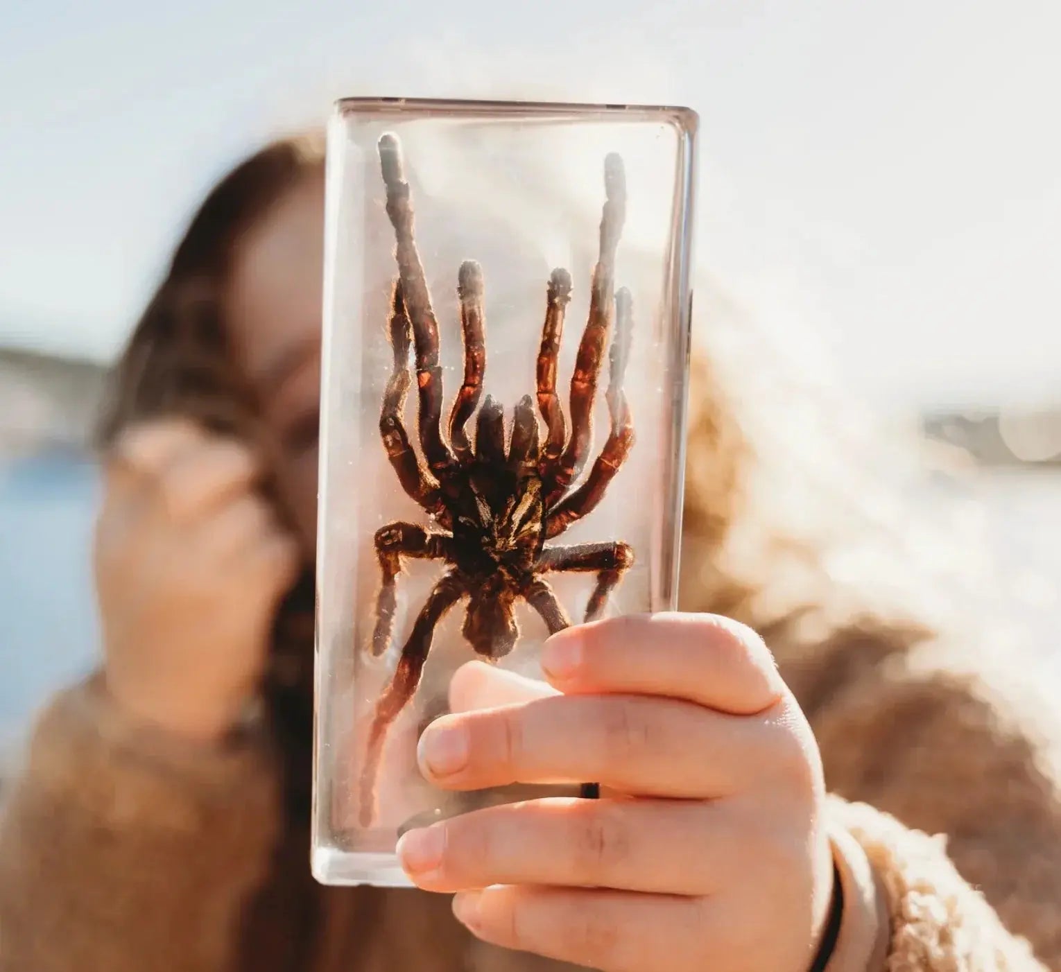 Our Earth Life // Tarantula Specimen Our Earth Life